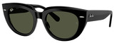Ray-Ban Sunglasses RB2286F Doreen 901/31