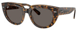 Ray-Ban Sunglasses RB2286 Doreen 1292B1