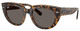 Havana On Transp Brown / Dark Grey