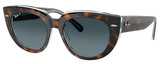 Ray-Ban Sunglasses RB2286 Doreen 1413S3