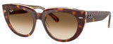Ray-Ban Sunglasses RB2286 Doreen 141451