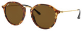 Ray-Ban Sunglasses RB2447 1160