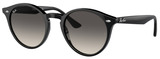 Ray-Ban Sunglasses RB2489 601/11
