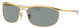 Arista Gold / Blue