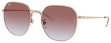 Ray-Ban Sunglasses RB3680D 9202I8