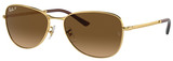Ray-Ban Sunglasses RB3733 001/M2