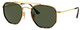 Arista Gold / G-15 Green