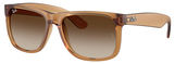 Ray-Ban Sunglasses RB4165F Justin 681413