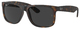 Havana / Dark Grey