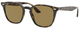 Light Havana / B-15 Brown