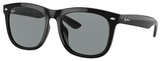 Ray-Ban Sunglasses RB4260D 601/1