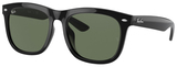 Ray-Ban Sunglasses RB4260D 601/71