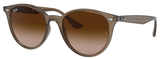 Ray-Ban Sunglasses RB4305F 616613