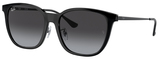 Ray-Ban Sunglasses RB4333D 601/8G