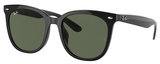 Ray-Ban Sunglasses RB4379D 601/71