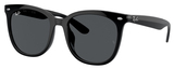 Ray-Ban Sunglasses RB4379D 601/87