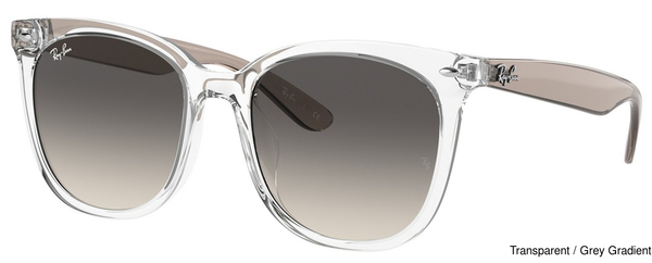 Ray-Ban Sunglasses RB4379D 659811