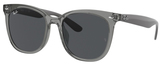 Ray-Ban Sunglasses RB4379D 659987