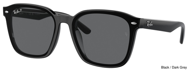 Ray-Ban Sunglasses RB4392D 601/81