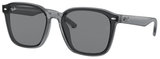 Ray-Ban Sunglasses RB4392D 645087