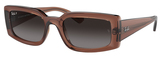 Ray-Ban Sunglasses RB4395F 6678T3