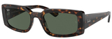 Ray-Ban Sunglasses RB4395 135971