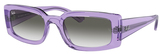 Ray-Ban Sunglasses RB4395 66858E
