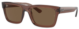 Ray-Ban Sunglasses RB4396F 667873