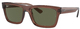 Transparent Brown / Dark Green
