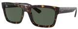 Ray-Ban Sunglasses RB4396F 135971