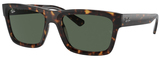 Ray-Ban Sunglasses RB4396 Warren 135971