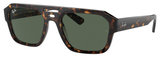 Ray-Ban Sunglasses RB4397 Corrigan 135971