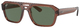 Transparent Brown / Dark Green