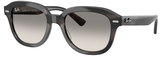 Ray-Ban Sunglasses RB4398F Erik 140432