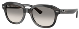 Ray-Ban Sunglasses RB4398 Erik 140432