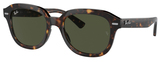 Ray-Ban Sunglasses RB4398 Erik 902/31