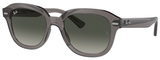 Ray-Ban Sunglasses RB4398 Erik 667571