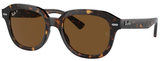 Ray-Ban Sunglasses RB4398 Erik 902/57