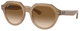 Turtledove / Brown