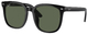 Black / Dark Green