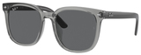 Transparent Grey / Dark Grey