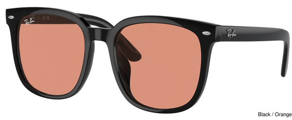Ray-Ban Sunglasses RB4401D 601/74