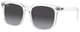 Transparent / Grey