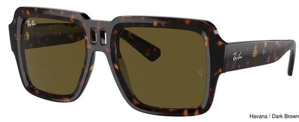 Ray-Ban Sunglasses RB4408 135973