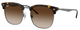 Havana On Gunmetal / Brown
