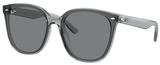 Transparent Grey / Dark Brown