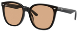 Black / Brown
