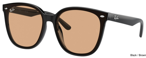 Ray-Ban Sunglasses RB4423D 601/93