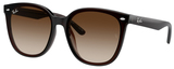 Transparent Brown / Brown