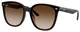 Transparent Brown / Brown